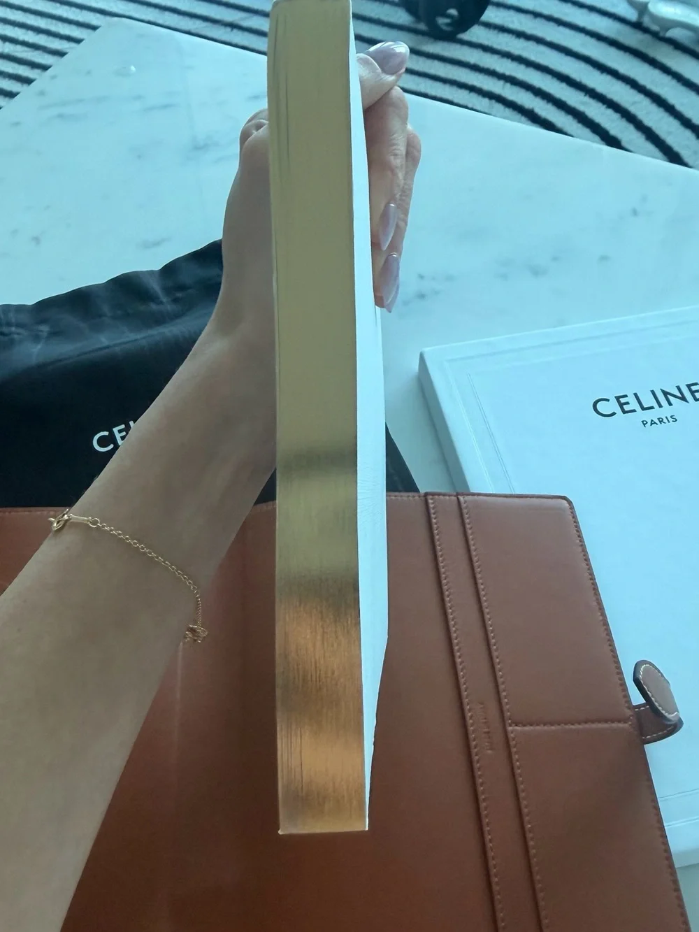 Celine Medium Triomphe Canvas & Calfskin Notebook Cover + Notebook